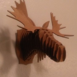 stickitstickers:  Coolest present so far this year! Cardboard moose taxidermy! Cardboardsafari.com She gets the most awesome things for me. Love you Beka!