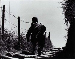  Boy Walking beside Barbed Wire Fence, 1971  Jeffrey Blankfort 