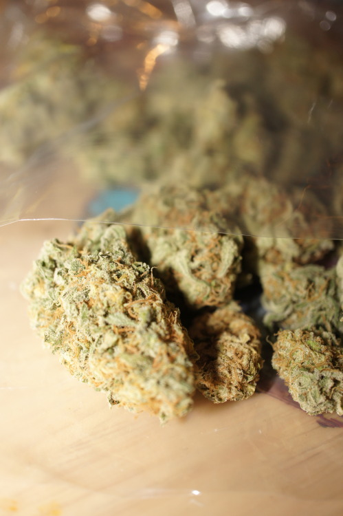 supremeblunt:  connotes:  picked up a half  i’m the 421st note hehe