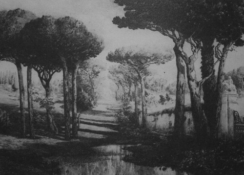 Max Roeder, Viale di pini a Villa Pamphili, 1903. Acquaforte e puntasecca