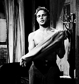 cosmokramers-deactivated2018091:  Marlon Brando as Stanley Kowalski in A Streetcar Named Desire (1951) 