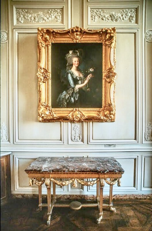 Portrait de Marie-Antoinette - Vigée Le Brun - 1783 - Le Petit Trianon - Versailles