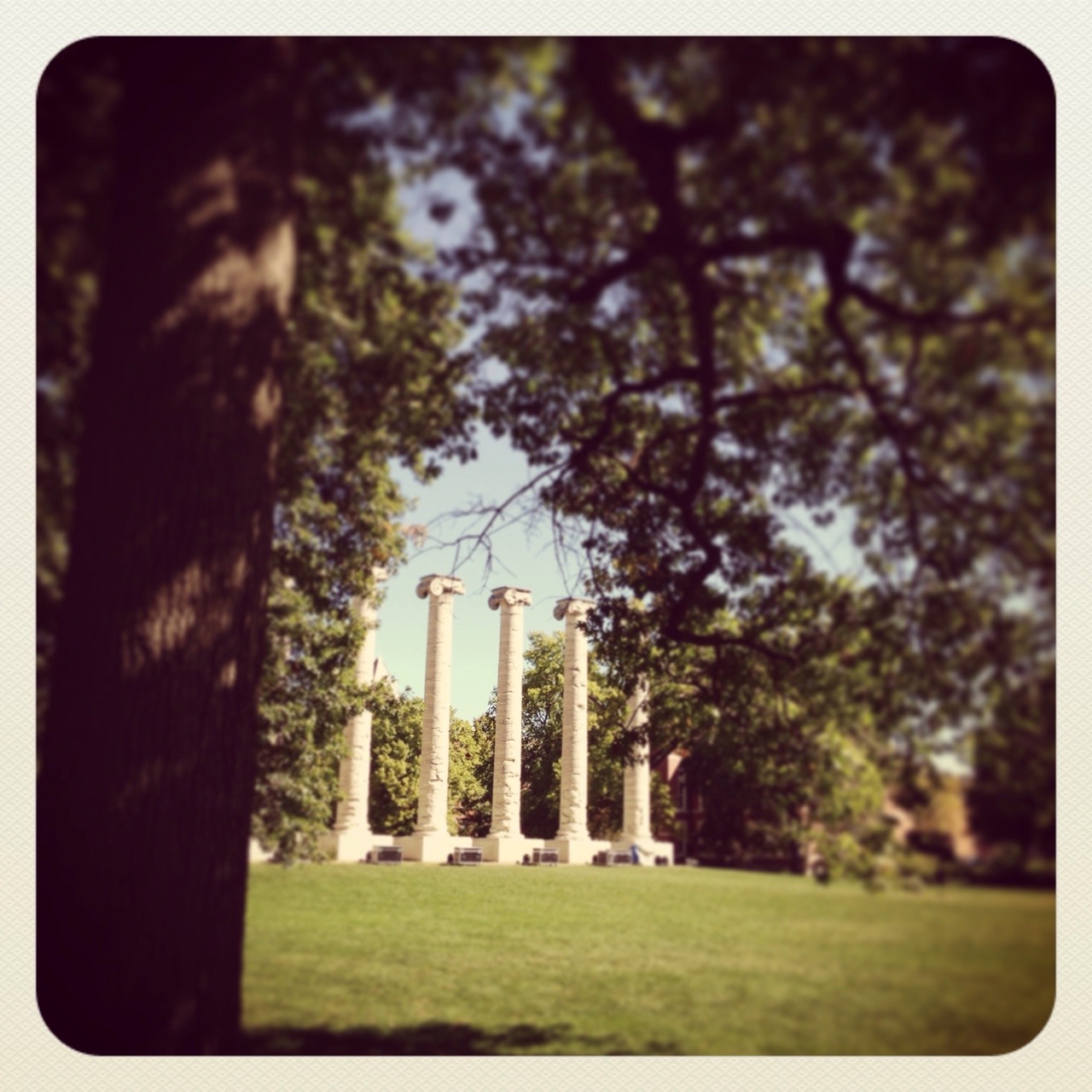 Most peaceful place on earth? #mizzou #quad #myphotos