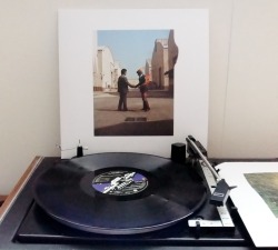 terrapin5:  Now spinning:  Pink Floyd - Wish You Were Here 