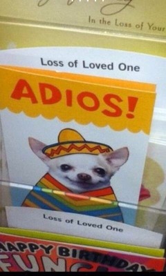 good card for the illegals
