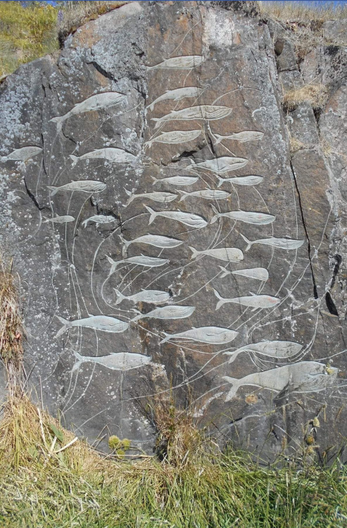 salonduthe:Petroglyph depicting whales, Qaqortoq, Greenland, 2010.