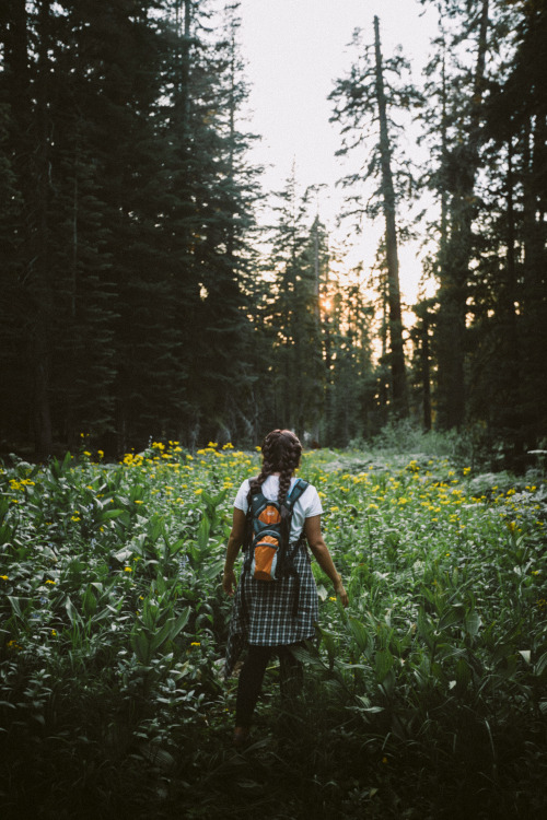 keslerbear:  We are the kids who are always chasing the sun.