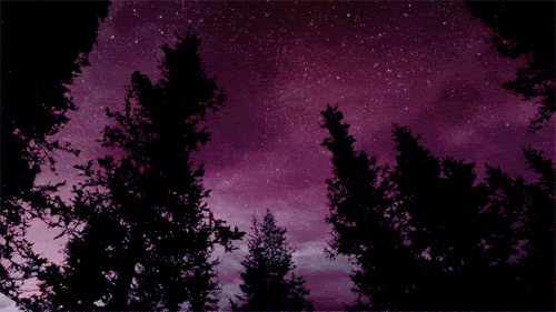 E per tetto&hellip;..  Un   Cielo di stelle  Thewolf