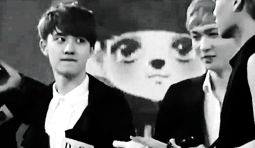 gayjikookadi:  kyungsoo wants to kiss jongin . 