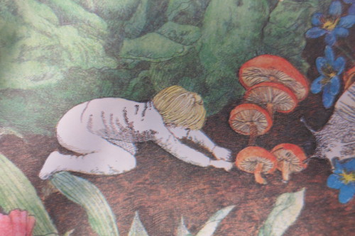 daisy-freshest:  a book I found at the daycare about a boy who turns into a snail