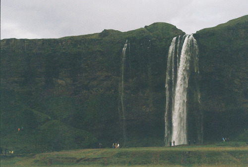 vorrid:  untitled by carrolljean on Flickr. 