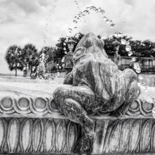 A fountain at the Vizcaya museum and gardens in Miami #museums #frogs #fountains #miami #vizcaya #fl