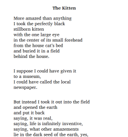 mulletlove: douceurs: The Kitten, Mary Oliver  