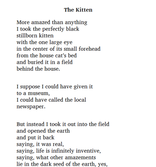 douceurs:The Kitten, Mary Oliver (transcript under the cut) Keep reading