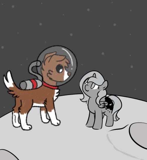 askwinonadog:@askpiratedash, @woonastuck / @egophiliac, @equestrian-post   | Patreon |    M!A: 2/10  x3!