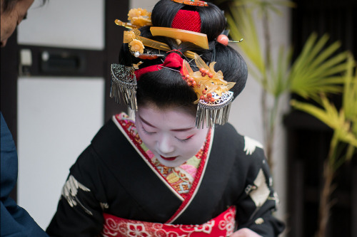 Mamechika of Arai okiya (Gion Kobu) on the day of her misedashi.The misedashi ceremony is one of the