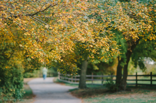 ~autumn In Long Island~