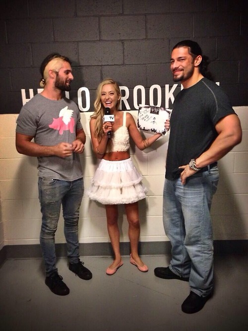 allonsyambrose:Hi, I’m auditioning for the roll of Seth Rollins’ balls, I’ll