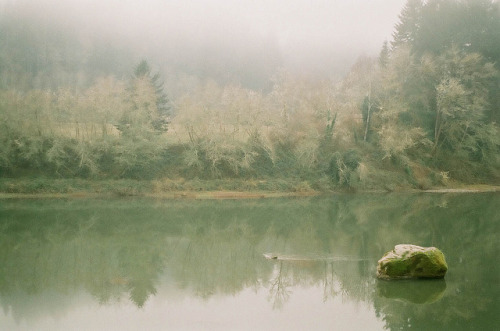 jacindaelena:   Emi Lenox