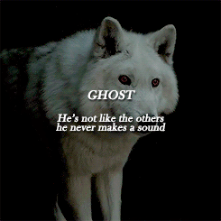 jonbran:   Summer’s howls were long and sad, full of grief and longing. Shaggydog’s