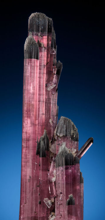 Very Unusual Elbaite - Otjimbingwe Farm 104, Karibib District, Erongo Region, NamibiaWhile the color