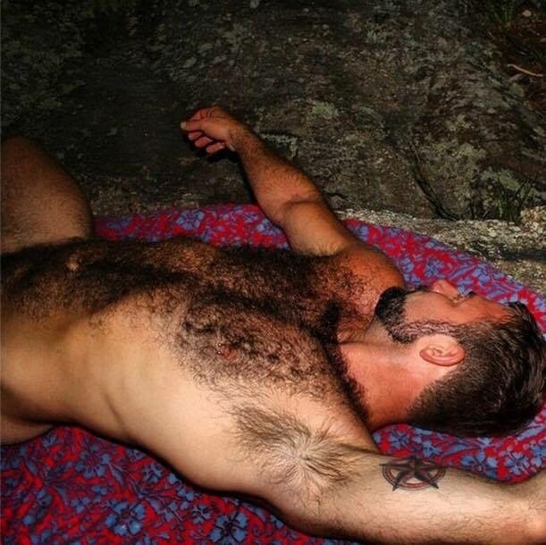 bearpitpig: