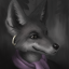 apricotjackal