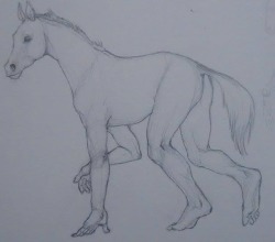 promotethisman:  iguanamouth:   i drew u a couple reverse centaurs &lt;33&lt;3   oh no  Please no 