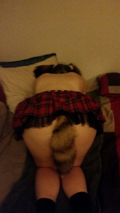 missymistressa:  I had a ewonderful time being daddys pet last night :) I wore piggytails, ate my dinner from a dish, wore my collar like a good girl, and shook my tail for daddy :D (he also loved the schoolgirl skirt)  then I played some fetch and got