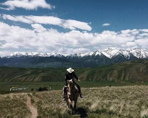 ahorsenamedbillyjo: Go play outside
