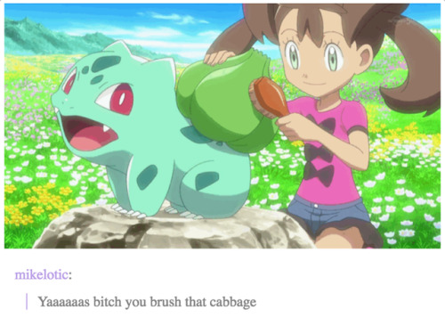 i-have-no-gender-only-rage:Tumblr and Pokemon
