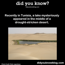 did-you-kno:  Recently in Tunisia, a lake mysteriously appeared in the middle of a drought-stricken desert. Source