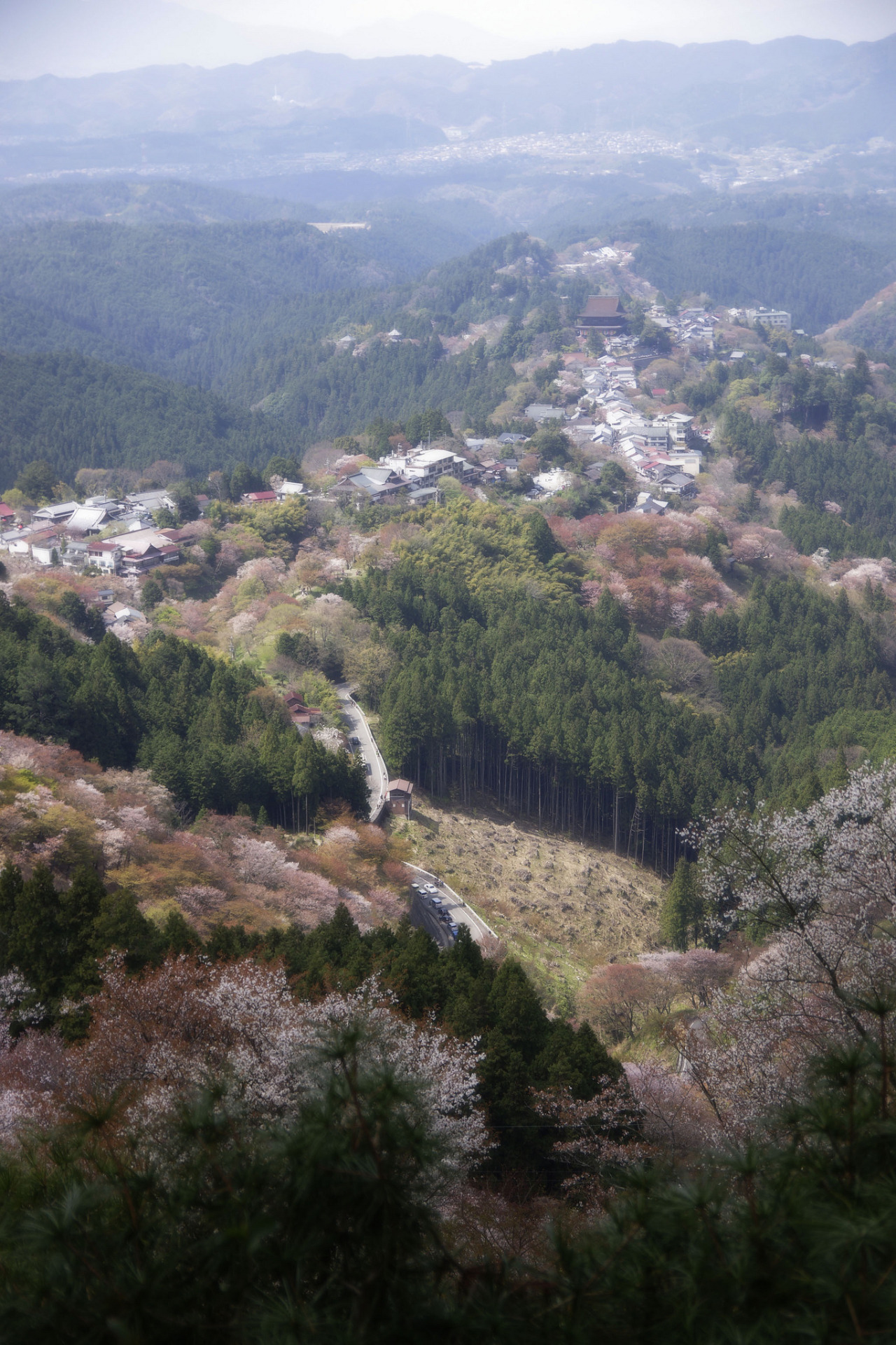 Yoshinoyama - Tumblr Gallery