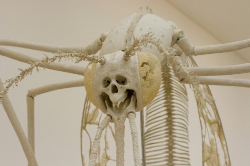 fernale:Saatchi Gallery