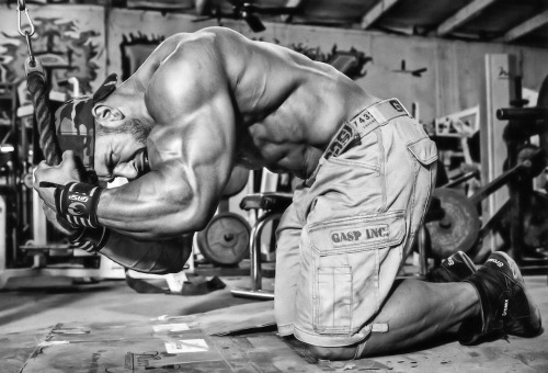 richmza:  Antoine Vaillant  