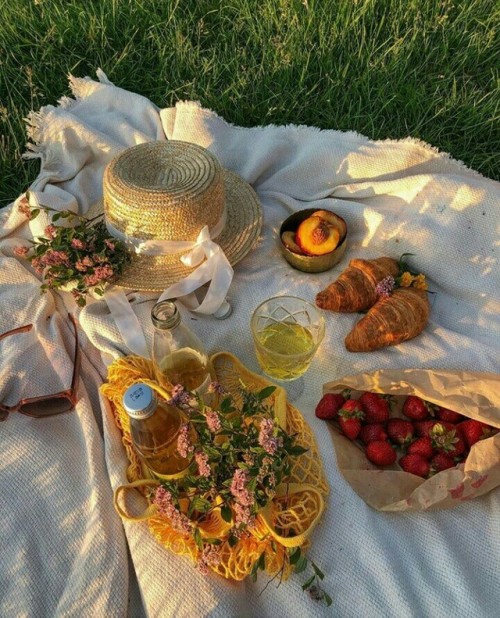 twospringflowers: picnic time