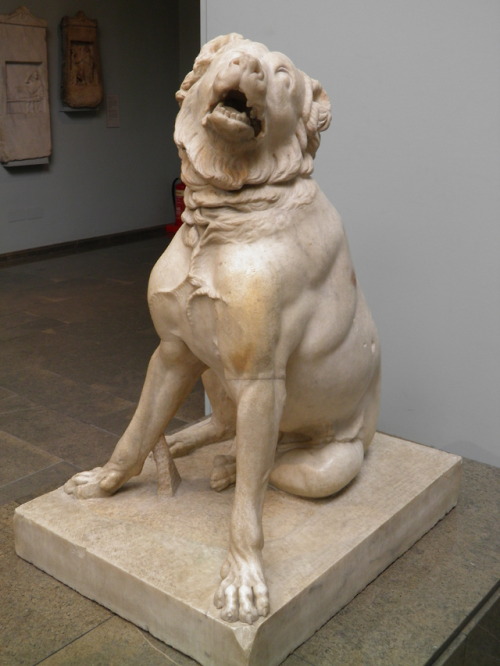 Statue of a Molossian hound.  Roman copy (2nd cent. CE) after a Hellenistic bronze original, with la