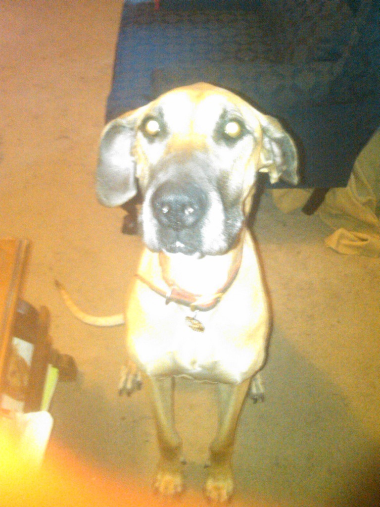 R.I.P. Kiera