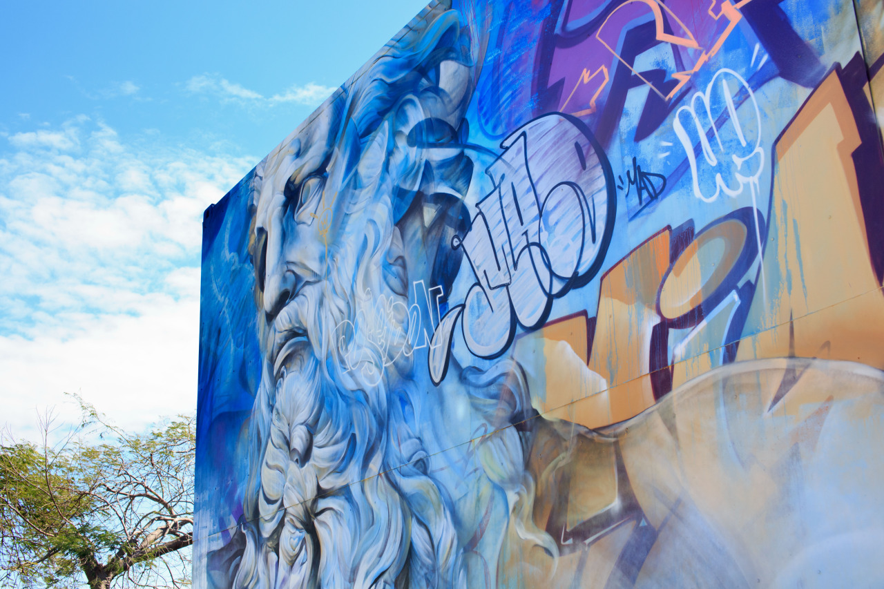 Springing forth legally in 2009 from a downtrodden industrial warehouse district, the Wynwood Arts District has become the premier destination in Miami, Florida, for innumerable outdoor murals, art galleries, retail stores, bars and restaurants.
A...