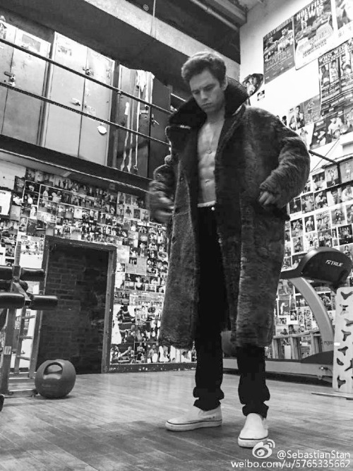SebastianStan:  Getting. Ready. For. Thanksgiving.  Thankful for many things this year. And one of t