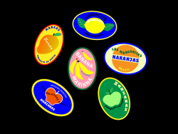 vidovidovidovido:Fruit Stickers 