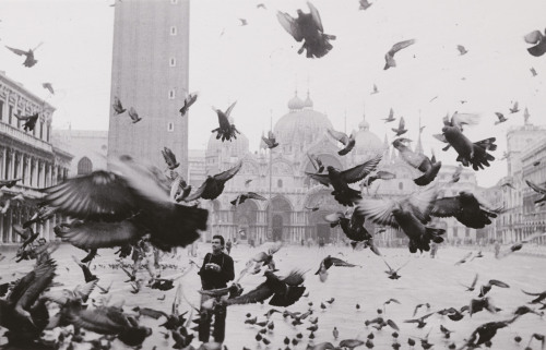 agelessphotography: Pigeons of Piazza San Marco, Venice, Denise Scott Brown, 1956