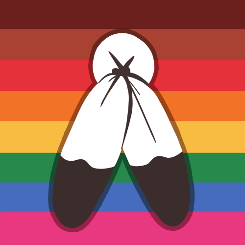 wackndn: native gay &amp; trans/two-spirit flags! these flags are for any native gay &amp; t
