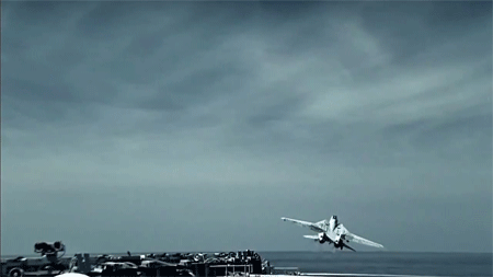 riidaroku:  Northrop Grumman F-14 Tomcat 