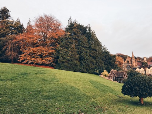 travels-ofadreamer: Wintery sunsets, Tyntesfield