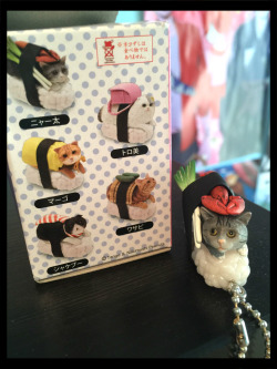 alpacassodaikazoku:  My amazing sushi cat, blind box from Rosy’s Garden! Check out my latest unboxing video with this, alpacasso, and more cute little things if you like :Dhttp://alpacassodaikazoku.tumblr.com/post/123159884668/here-it-is-my-second-ever-un