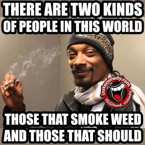 canabuddys: Snoop Knows!