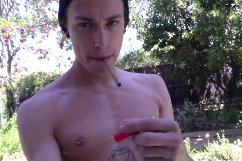 Nature, Pokemon, and the Real Housewives