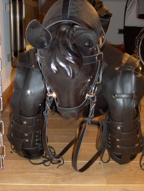 bitchsuits:  Lather Pony suit  http://www.fury-fantasy.com/Fury-Fantasy-Accesoires.htm