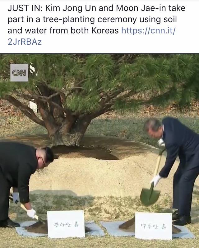 veganismbyhankang:  p0nytailderrick: veganismbyhankang: I can’t stop crying, because